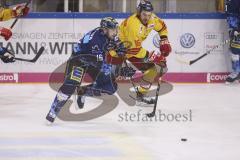 Im Bild: Brett Oslon (#16 ERC) und Reid Gardiner (#16 Duesseldorfer EG)

Eishockey - Herren - DEL - Saison 2019/2020 -  ERC Ingolstadt - Düsseldorfer EG - Foto: Ralf Lüger