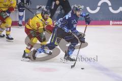 Im Bild: Brett Oslon (#16 ERC) und Reid Gardiner (#16 Duesseldorfer EG)

Eishockey - Herren - DEL - Saison 2019/2020 -  ERC Ingolstadt - Düsseldorfer EG - Foto: Ralf Lüger