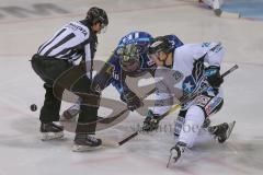 DEL - Eishockey - Saison 2019/20 - ERC Ingolstadt - Black Wings Linz - Brett Olson (#16 ERCI) - Foto: Jürgen Meyer