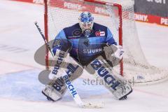 DEL - ERC Ingolstadt - Eisbären Berlin - Playoffs HF - fokussiert, Torwart Michael Garteig (34 ERC)