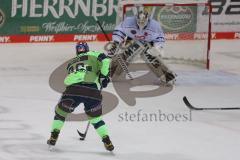 DEL - Eishockey - Saison 2020/21 - ERC Ingolstadt - Nürnberg Ice Tigers  - Daniel Pietta (#86 ERCI) - Niklas Treutle Torwart (#31 Nürnberg) - Foto: Jürgen Meyer