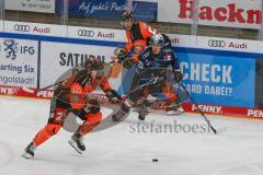 Penny DEL - Eishockey - Saison 2021/22 - ERC Ingolstadt - Grizzlys Wolfsburg - Anthony Rech (#18 Wolfsburg) - Leon Hüttl (#25 ERCI) -  Foto: Jürgen Meyer