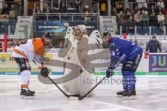 DEL - Eishockey - ERC Ingolstadt - Grizzlys Wolfsburg - Das Ingolstädter Christkind mit dem Anfangsbully auf dem Eis, Jeffrey Likens (9 Wolfsburg) Jerry D`Amigo (9 ERC)