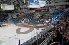 ERC Ingolstadt - Krefeld - Vor dem Spiel die Pantherfans mit einer Choreo