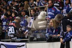 DEL - ERC Ingolstadt - Eisbären Berlin - Fans mit Eisbären