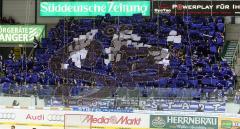 DEL - ERC Ingolstadt - Adler Mannheim - Fan Fahnen