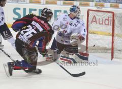 DEL - ERC Ingolstadt - Adler Mannheim - Tor Vince Bellissimo