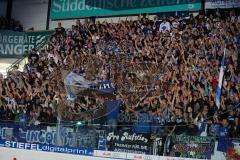 DEL - ERC Ingolstadt - DEG Düsseldorf - 5:2 - Fans