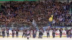 DEL - ERC Ingolstadt - Nürnberg - Jubel vor den Fans