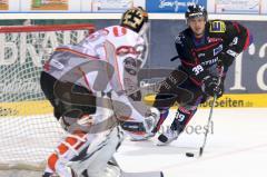 DEL - ERC Ingolstadt - DEG Düsseldorf - 5:2 - Thomas Greilinger im Angriff