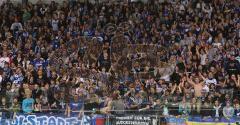 DEL - ERC Ingolstadt - Kölner Haie 6:3 - Die Fans sind aus dem Häuschen