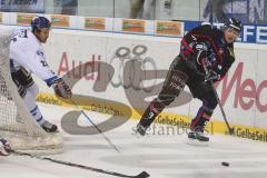 DEL - ERC Ingolstadt - Adler Mannheim - Bob Wren