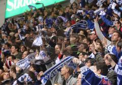 DEL - ERC Ingolstadt - Augsburg Panther - Fans Jubel Tor Fahnen Schals