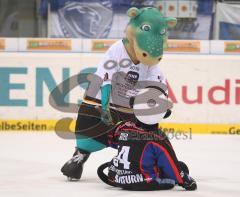 DEL - ERC Ingolstadt - Köln 5:4 - Maskottchen Urmel und Xaver