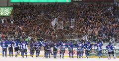 DEL - ERC Ingolstadt - Frankfurt Lions Sieg im Viertelfinale - Fans Jubel