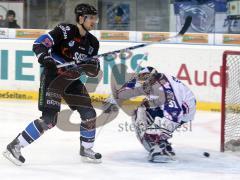 DEL - ERC Ingolstadt - Adler Mannheim - Matt Hussey Tor Jubel Torwart Fred Brathwaite