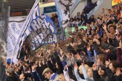 DEL - ERC Ingolstadt - Nürnberg - Fan Tor Jubel