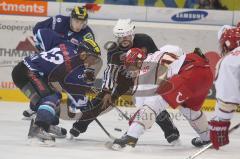 DEL - ERC Ingolstadt - Hannover Scorpions - Bully Derek Hahn