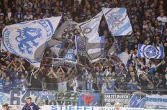 DEL - ERC Ingolstadt - DEG Düsseldorf - Fans Jubel Fahnen