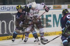 DEL - ERC Ingolstadt - Adler Mannheim - Derek Hahn im Zweikampf