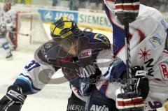 DEL - ERC Ingolstadt - Adler Mannheim - Playoff - 3.Halbfinale-Rick Girard im Zweikampf an der Bande