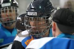 Damen - ERC Ingolstadt - SC Garmisch-Partenkrichen 1:5 - Stefanie Gantz