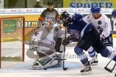 European Trophy 2012 - ERC Ingolstadt - Adler Mannheim - Alexander Oblinger stürmt vor