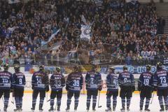 DEL - ERC Ingolstadt - Straubing Tigers - Sieg Fans Jubel Fahnen, das Team kniet davor