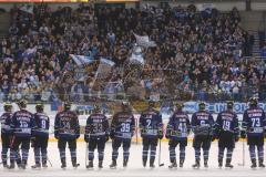 DEL - ERC Ingolstadt - Straubing Tigers - Sieg Fans Jubel Fahnen, das Team kniet davor