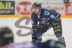 DEL - ERC Ingolstadt - Straubing Tigers - Thomas Greilinger