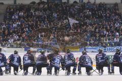 DEL - ERC Ingolstadt - Straubing Tigers - Sieg Fans Jubel Fahnen, das Team kniet davor