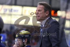 DEL - ERC Ingolstadt - Eisbären Berlin - Trainer Rich Chernomanz schimpft