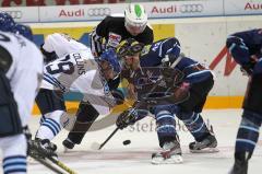 DEL - ERC Ingolstadt - Hamburg Freezers - rehcts Derek Hahn Bully