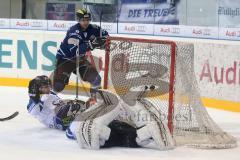 DEL - ERC Ingolstadt - Straubing Tigers - 2:1 Tor durch Thomas Greilinger Jubel