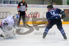 DEL - ERC Ingolstadt - Eisbären Berlin - Tim Hambly gegen Rob Zepp