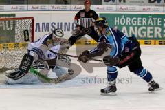 ERC Ingolstadt - Straubing Tigers - Travis Turnball (71) - Foto: Jürgen Meyer