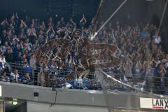 DEL - Playoff Finale - Kölner Haie KEC - ERC Ingolstadt - Ingolstädter Fans