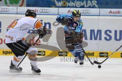 DEL - ERC Ingolstadt - Grizzly Adams Wolfsburg # rechts Jared Ross (42)