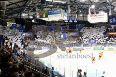 ERC Ingolstadt - Düsseldorfer EG - Fanchoreografie zum 50. Geburtstag - Foto: Jürgen Meyer