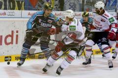 ERC Ingolstadt - Kölner Haie - Tyler Bouck - Foto: Jürgen Meyer