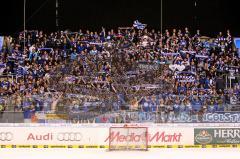 ERC Ingolstadt - Düsseldorfer EG - Fans - Foto: Jürgen Meyer