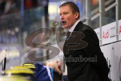 DEL - ERC Ingolstadt - Grizzly Adams Wolfsburg - Cheftrainer Niklas Sundblad