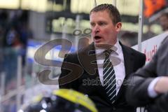 DEL - ERC Ingolstadt - Grizzly Adams Wolfsburg - Cheftrainer Niklas Sundblad