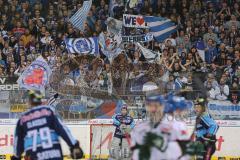 DEL - 2013 - ERC Ingolstadt - Augsburg Panther - Fans Fahnen Jubel