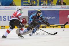 DEL - ERC Ingolstadt - Kölner Haie - PlayOff Finale 2014 - Spiel 2 - Robert Sabolic (25) im Zweikampf um den Puck