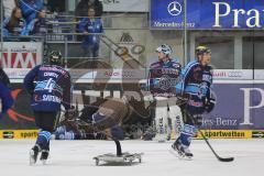 DEL - ERC Ingolstadt - Kölner Haie - PlayOff Finale 2014 - Spiel 2 - Jakub Ficenec (38) schwer verletzt an der Bande, wird abtransportiert