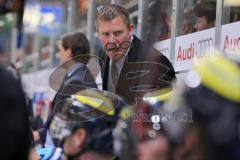 DEL - Playoff Halbfinale - ERC Ingolstadt - Hamburg Freezers - Spiel 6 - Cheftrainer Niklas Sundblad