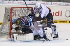 ERC Ingolstadt - Hamburg Freezers - Björn Barta (33) - Foto: Jürgen Meyer