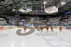 ERC Ingolstadt - Düsseldorfer EG - Fanchoreografie zum 50. Geburtstag - Foto: Jürgen Meyer