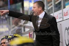 DEL - ERC Ingolstadt - Grizzly Adams Wolfsburg - Cheftrainer Niklas Sundblad schreit